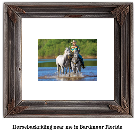 horseback riding near me in Bardmoor, Florida